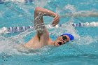 Swimming & Diving vs RWU  Swimming & Diving vs Roger Williams University. - Photo by Keith Nordstrom : Wheaton, Swimming